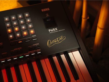 Arranger Profesional SAMPLER PADS 61 teclas ORIENTAL - Image 7