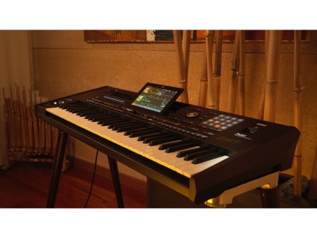 Arranger Profesional SAMPLER PADS 61 teclas ORIENTAL - Image 9