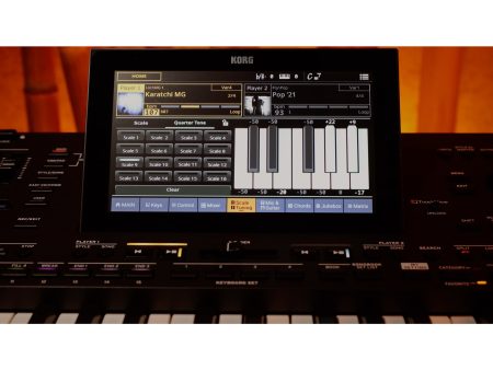 Arranger Profesional SAMPLER PADS 61 teclas ORIENTAL - Image 10
