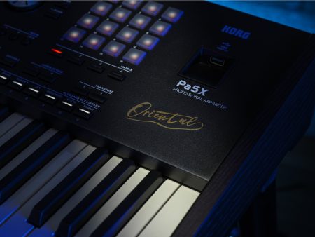 Arranger Profesional SAMPLER PADS 61 teclas ORIENTAL - Image 8