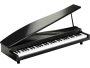 MicroPiano