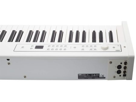 D1 - Image 2