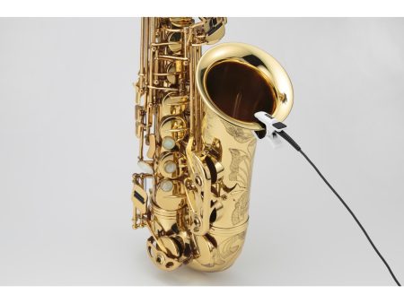 CM-200 - Image 2