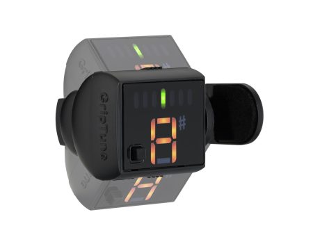 Griptune - Image 2