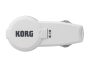 In-EarMetronome IE-1M
