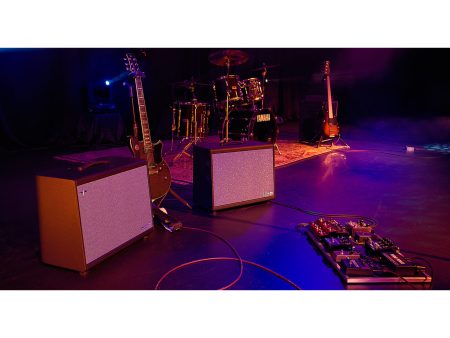 Caja Activa P/Pedaleras 12"»250Watts MIDI FRFR 2CH IR - Image 5