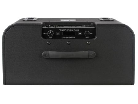 Caja Activa P/Pedaleras 12"»250Watts MIDI FRFR 2CH IR - Image 4