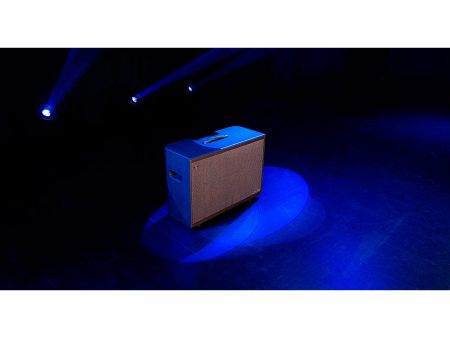 Caja Activa P/Pedaleras 2x12" 500W Midi FRFR 2CH IR - Image 7