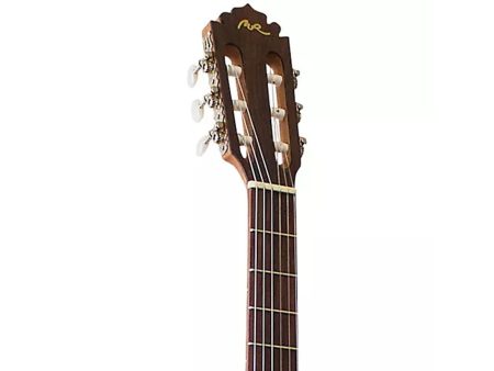 MangoCaoba DiapPaloRosa TapaPino AroFMaple NAT FISHMAN - Image 7