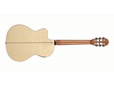 MangoCaoba DiapPaloRosa TapaPino AroFMaple NAT FISHMAN - Image 3
