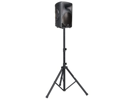 Parlante Compacto PASIVO MONITOR 200W 10 - Image 5