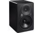 6" 2 Vias Monitor de Estudio Activo ALTA RESOLUCION