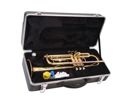 ODYSSEY DEBUT TRUMPET OUTFIT w/CASE - Image 2