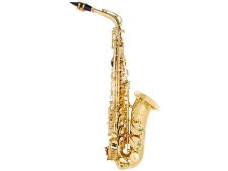 ODYSSEY DEBUT ALTO SAX OUTFIT w/CASE