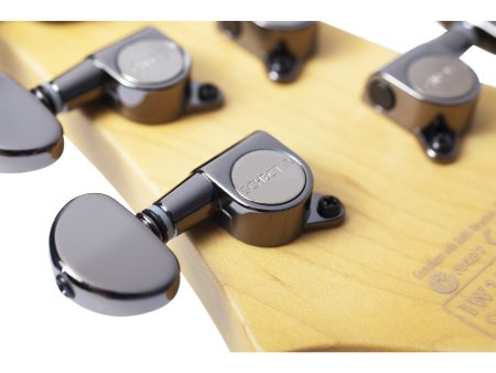 6 cuerdas ThruBody PickUps Activos Schecter - Image 3