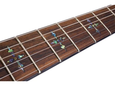 6 cuerdas EMG PickUp:HH FLOYD ROSE - Image 7