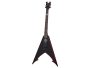 6 cuerdas ThruBody Fishman PickUp:H