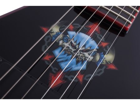 6 cuerdas ThruBody Fishman PickUp:H - Image 3