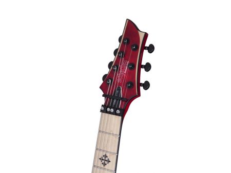 7 cuerdas Neck-Thru PickUp:HH S.Duncan Floyd Rose - Image 5