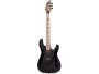 6 cuerdas Set-Neck PickUp:HH S.Duncan Floyd Rose