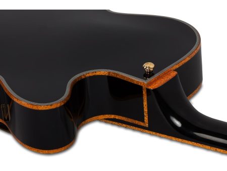 Mango y cuerpo maple, puente Bigsby - Image 3