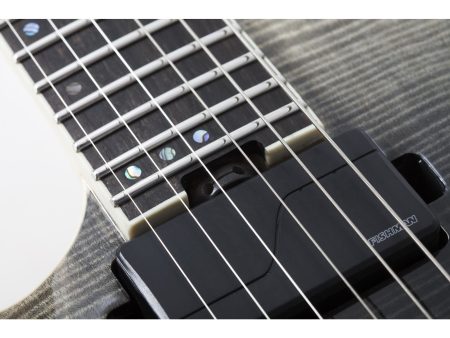 Mango Maple/Walnut/Padauk, Tapa Maple, Fishman mics - Image 3