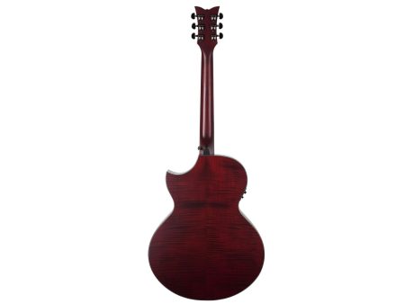6 cuerdas Tapa Solida Spruce Fishman Isys+ Cutaway - Image 2
