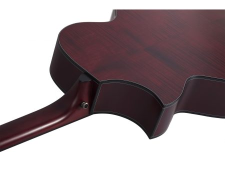 6 cuerdas Tapa Solida Spruce Fishman Isys+ Cutaway - Image 3