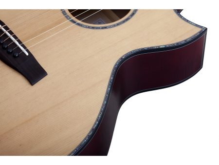 6 cuerdas Tapa Solida Spruce Fishman Isys+ Cutaway - Image 5
