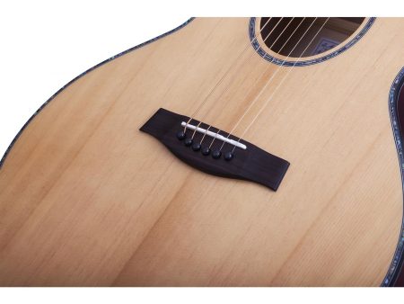 6 cuerdas Tapa Solida Spruce Fishman Isys+ Cutaway - Image 9