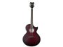 6 cuerdas Tapa Solida Spruce Fishman Isys+ Cutaway