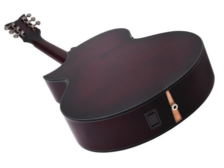 6 cuerdas Tapa Solida Spruce Fishman Isys+ Cutaway - Image 2