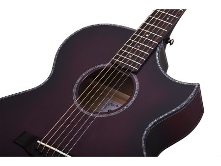 6 cuerdas Tapa Solida Spruce Fishman Isys+ Cutaway - Image 6