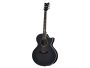 6 cuerdas Tapa Solida Spruce Fishman Isys+ Cutaway
