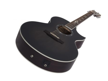 6 cuerdas Tapa Solida Spruce Fishman Isys+ Cutaway - Image 3