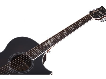 6 cuerdas Tapa Solida Spruce Fishman Isys+ Cutaway - Image 5