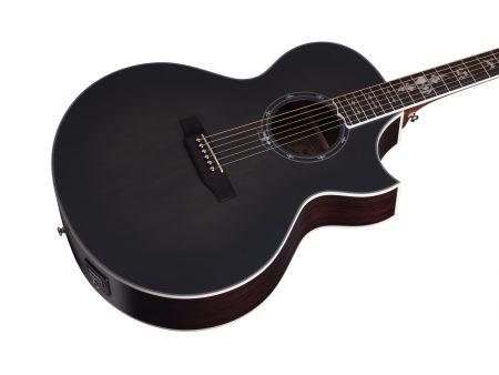 6 cuerdas Tapa Solida Spruce Fishman Isys+ Cutaway - Image 9
