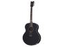 6 cuerdas Tapa Solida Spruce Fishman Isys+