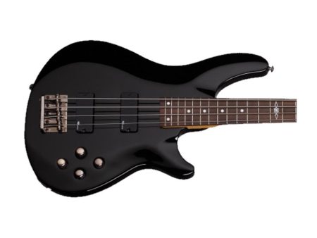 c/FUNDA | 4 cuerdas PickUp:HH - Image 2