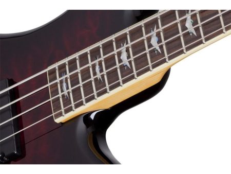 4 cuerdas PickUp:HH ACTIVO - Image 3