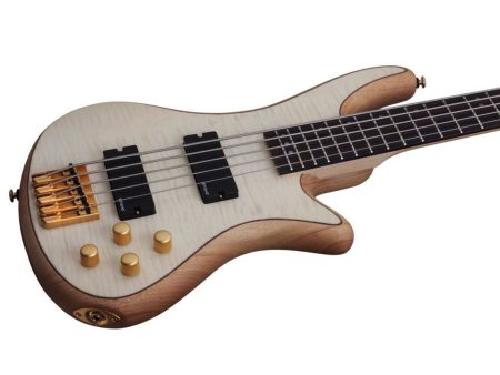 5 cuerdas EMG PickUp:HH ACTIVO - Image 2