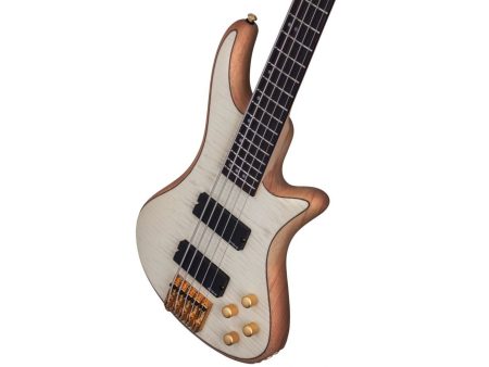 5 cuerdas EMG PickUp:HH ACTIVO - Image 5
