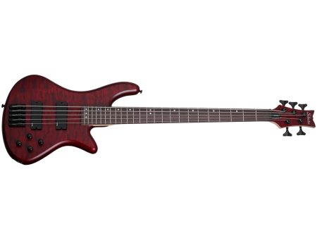 5 cuerdas EMG PickUp:HH ACTIVO - Image 8