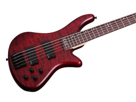 5 cuerdas EMG PickUp:HH ACTIVO - Image 5