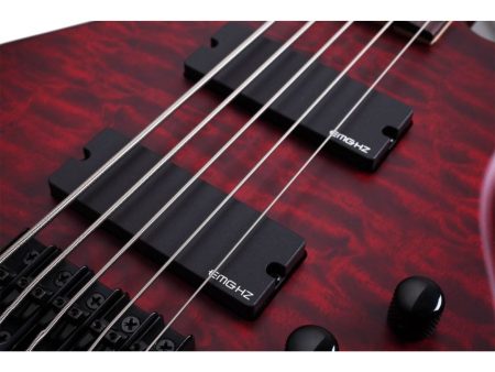 5 cuerdas EMG PickUp:HH ACTIVO - Image 6