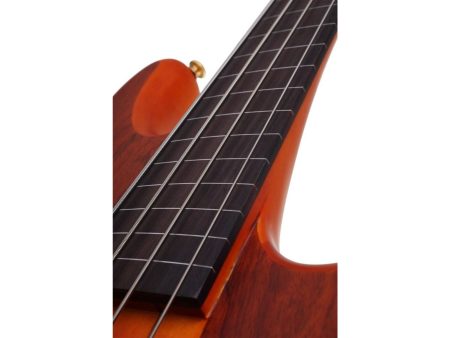4 cuerdas EMG PickUp:HH ACTIVO Fretless - Image 3