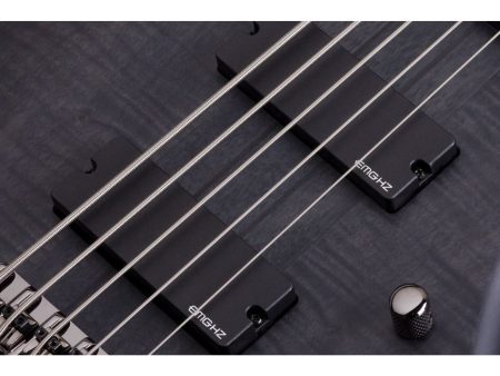 5 cuerdas EMG PickUp:HH ACTIVO - Image 6
