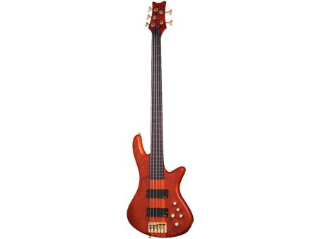 5 cuerdas EMG PickUp:HH ACTIVO Fretless