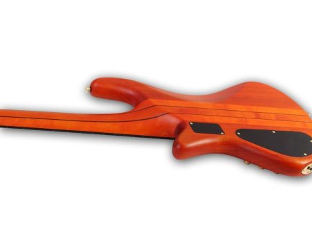 5 cuerdas EMG PickUp:HH ACTIVO Fretless - Image 3