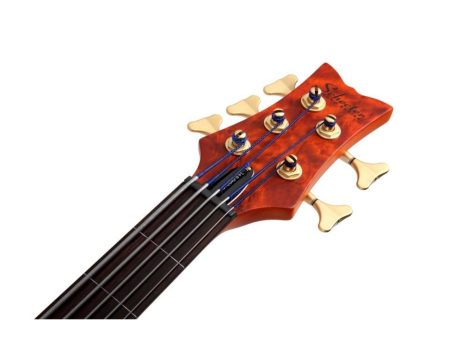 5 cuerdas EMG PickUp:HH ACTIVO Fretless - Image 4